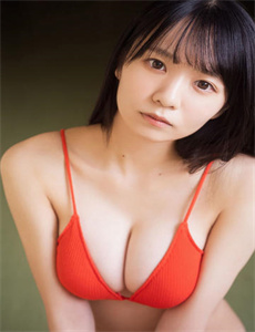 电视剧《抗日奇侠》