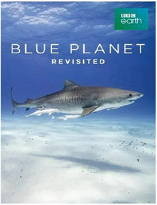 泛美73号劫机事件